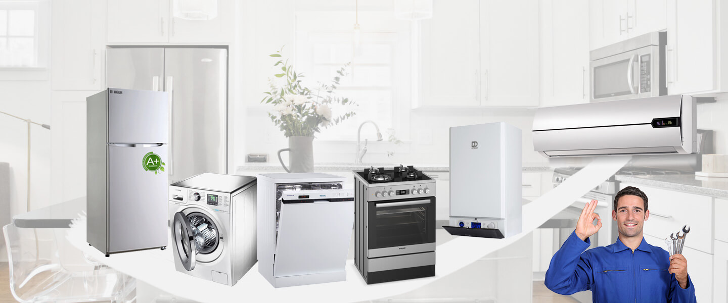 Aydın Dominox Servisi